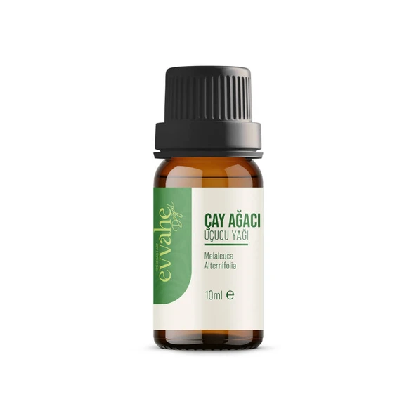 Çay Ağacı Yağı (10ml.)