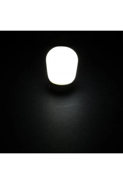 Ct-4261g 2w Buzdolabı Ampul 3200k E14 Duy - Resim 4