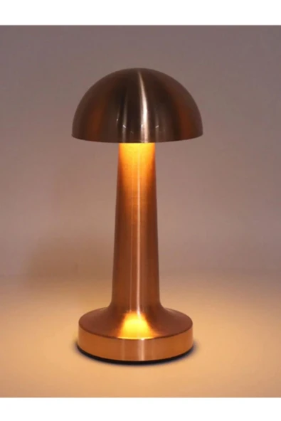 Bakır Renk Şarjlı Masa Lambaları - Resim 2