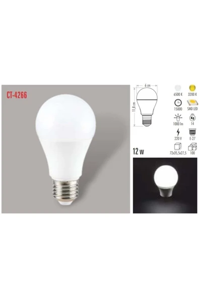 12 Watt Led Ampul  Gün Işığı - Resim 2