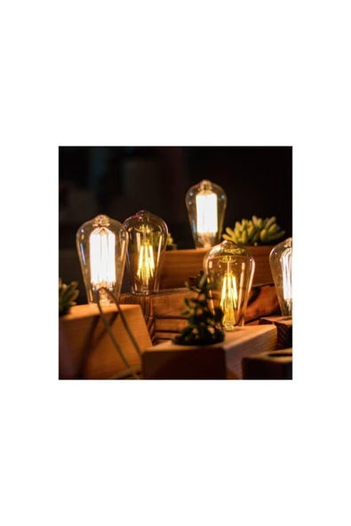Led Dünyam 8w Amber St64 Dekoratif Armut Rustik Led Ampül Ct-4290 - 3