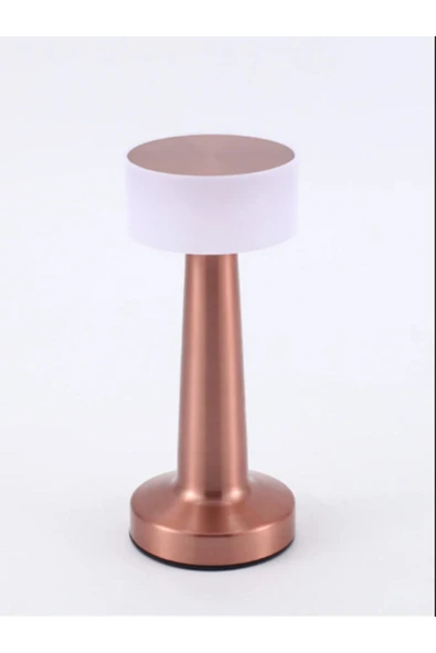 Dekoratif Şarjlı Dokunmatik Led Masa Lambası Usb Kablolu Abajur Ve Gece Lambası Rose - Resim 3