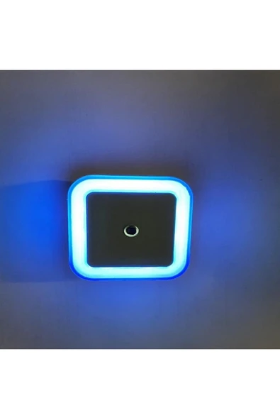 1w Fişli Fotoselli Gece Lambası Ct-9500 Mavi Renk - Resim 3