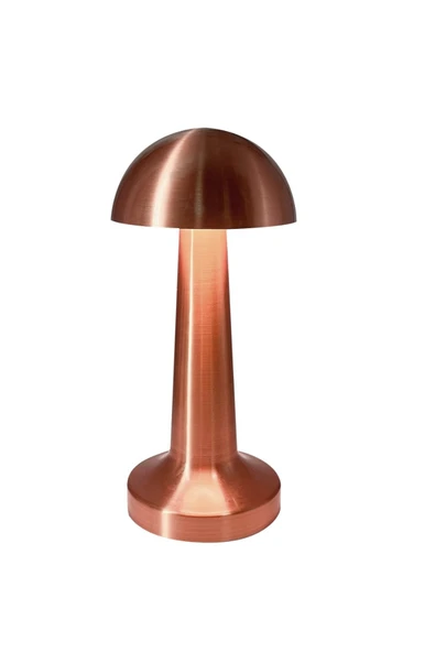 Bakır Renk Şarjlı Masa Lambaları - Resim 3
