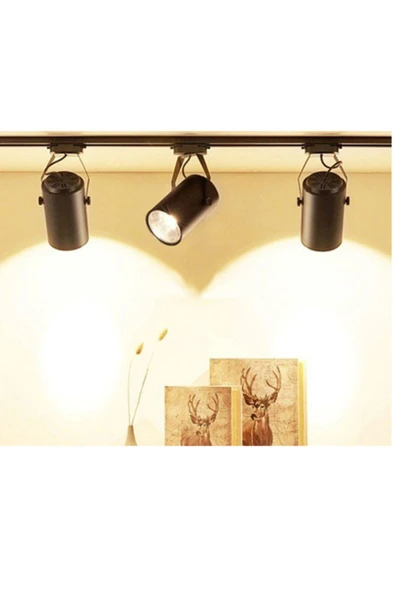 CT 9720 Cata 1 Metre Monofaze Spot Rayı Siyah Renk - Resim 2