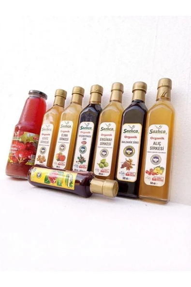 Organik Elma Sirkesi 500 ml - 2