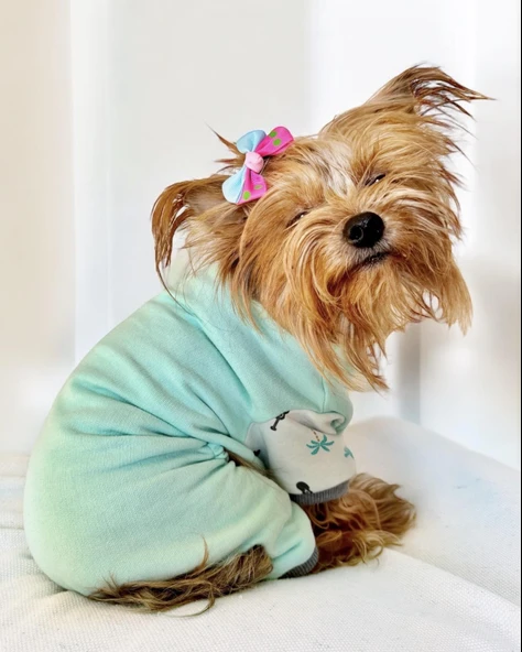 Minty Palm Kalın Penye Köpek Tulum Pijama