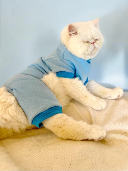 Blue Bunny Kalın Penye Kedi Tulum Pijama