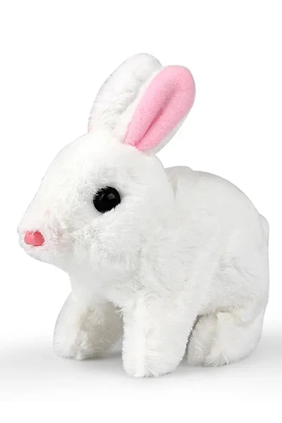 Pet Park Yürüyen Tavşan ile Her Anınız Keyifli! - 5