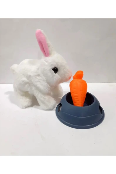 Pet Park Yürüyen Tavşan ile Her Anınız Keyifli! - 2