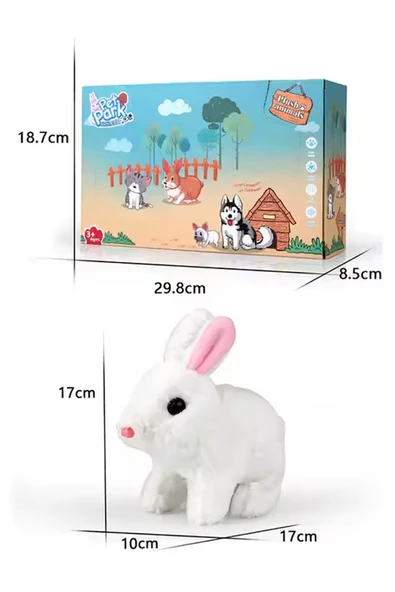 Pet Park Yürüyen Tavşan ile Her Anınız Keyifli! - 4