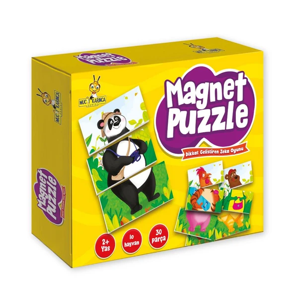 Mıknatıslı Magnet Puzzle