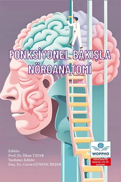 Fonksiyonel Bakışla Nöroanatomi
