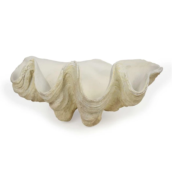 Vitale Polyester İstiridye Duvar Dekoru 24.5*36.5*