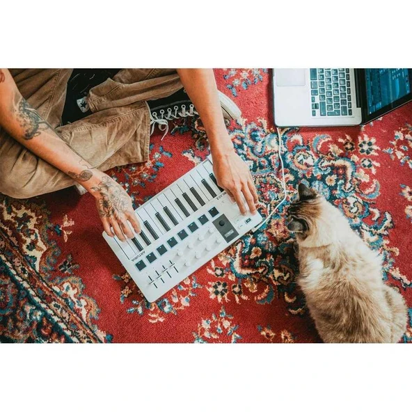MiniLab 3 Kompakt MIDI Klavye (Siyah) - 3