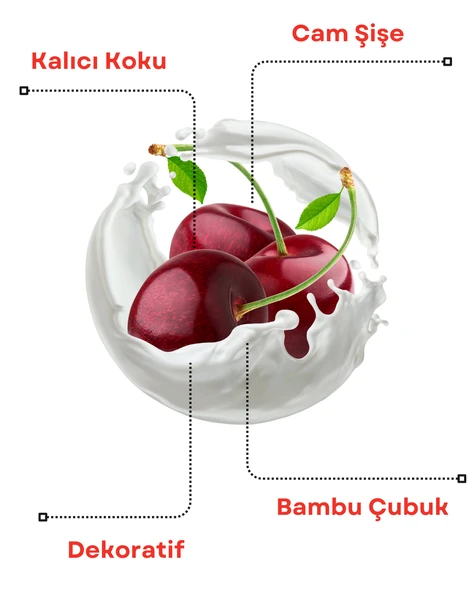 Axodine Kiraz Bambu Çubuklu Oda Kokusu 100 ml - 2