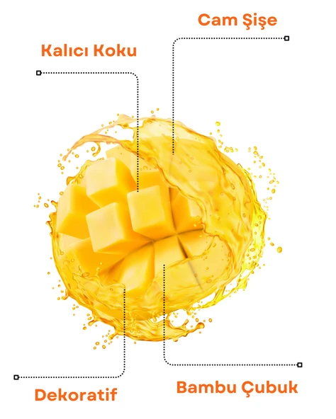 Axodine Mango Bambu Çubuklu Oda Kokusu 100 ML - 2