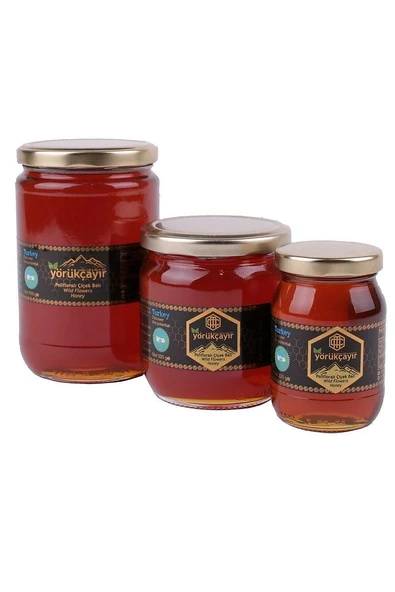 Organik Polifloralı Bal 500g - 2