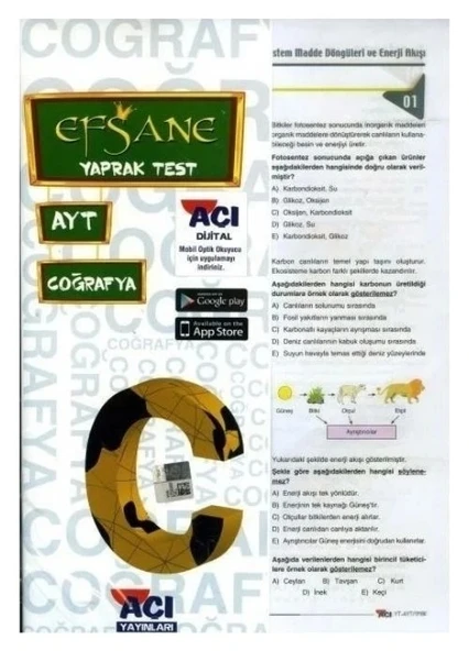 AÇI AYT COĞRAFYA YAPRAK TEST