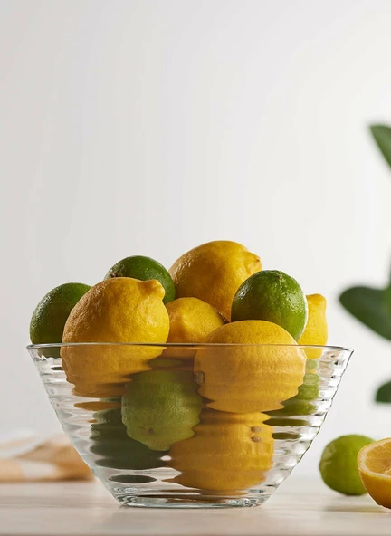 Lav Derin Tekli Büyük Boy Salata Kasesi 2010 cc