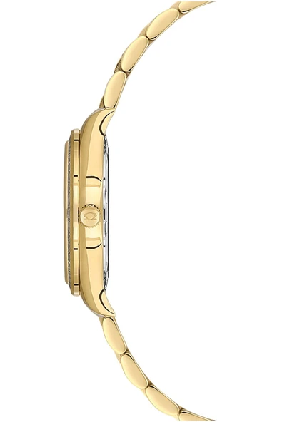 Nacar NC33-398385-DWMS Kadın Kol Saati - 3