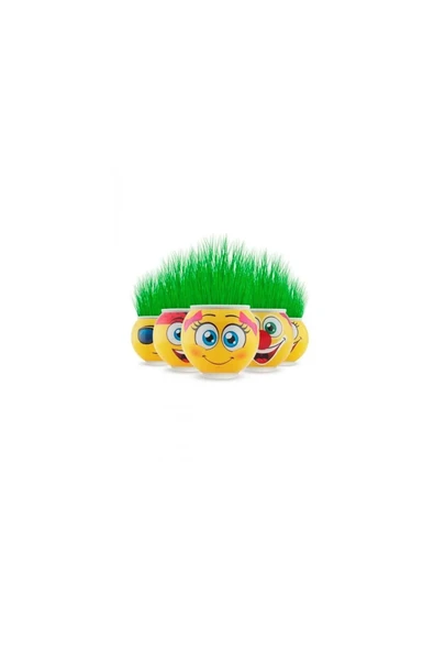 FS COSMETİC Emoji Şekilli Çim Adam Surat 1 Adet Okul Öncesi Sonrası Etkinlik - 4
