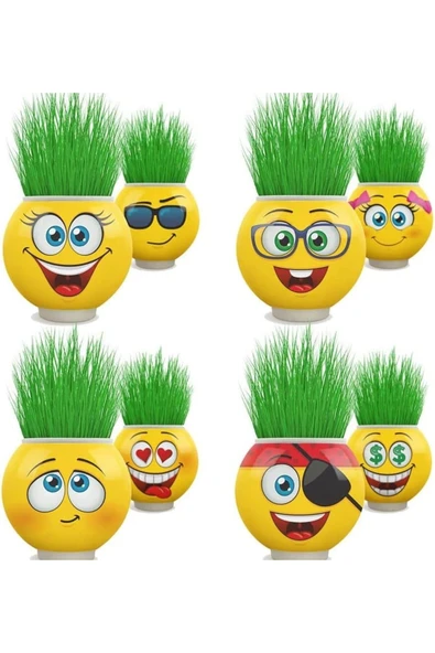 FS COSMETİC Emoji Şekilli Çim Adam Surat 4 Adet Okul Öncesi Sonrası Etkinlik