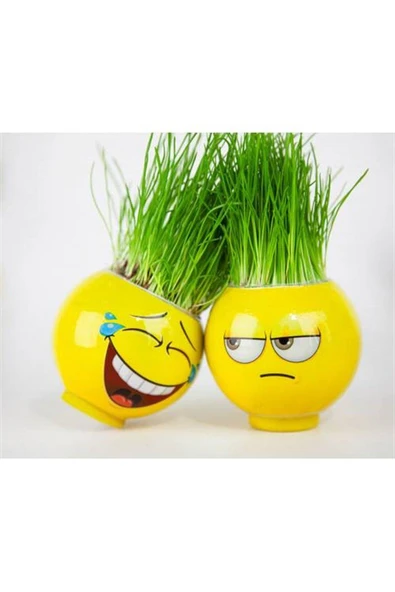 FS COSMETİC Emoji Şekilli Çim Adam Surat 4 Adet Okul Öncesi Sonrası Etkinlik - 2