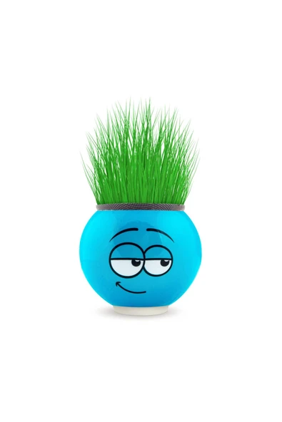 FS COSMETİC Emoji Şekilli Çim Adam Surat 4 Adet Okul Öncesi Sonrası Etkinlik - 3