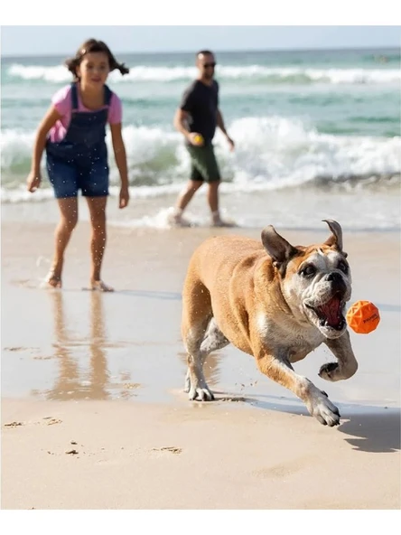 Waboba Tailwind Köpek Oyuncağı ZıplayanTop - 3