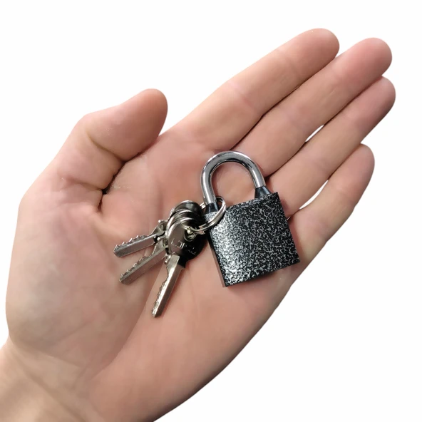 32 mm Asma Kilit Yağmur Contalı Ekstra Güvenli Çift Damak Kilitleme Özelliği Dolap Kapı Pano Kilidi - 2