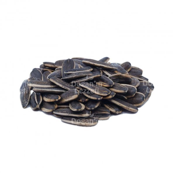 Ay Çekirdeği İthal Çiğ 1KG ürün görseli