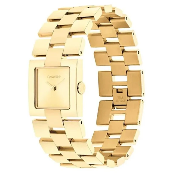 Calvin Klein CK25100089 Kadın Kol Saati - Resim 2