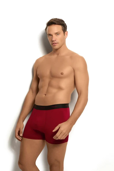 Jiber 321 Erkek Modal Pamuklu Boxer - Resim 2