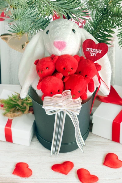 SOLE Premium Özel Hediye Kutusunda 45 cm Beyaz Bunny Tavşan ve 5 Adet Kırmızı Peluş Ayıcık Buketi