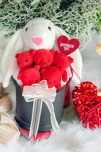 SOLE Premium Özel Hediye Kutusunda 45 cm Beyaz Bunny Tavşan ve 5 Adet Kırmızı Peluş Ayıcık Buketi - 5
