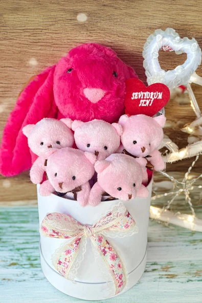 SOLE Premium Özel Hediye Kutusunda 45 cm Fuşya Bunny Tavşan ve 5 Adet Pembe Peluş Ayıcık Buketi - 2