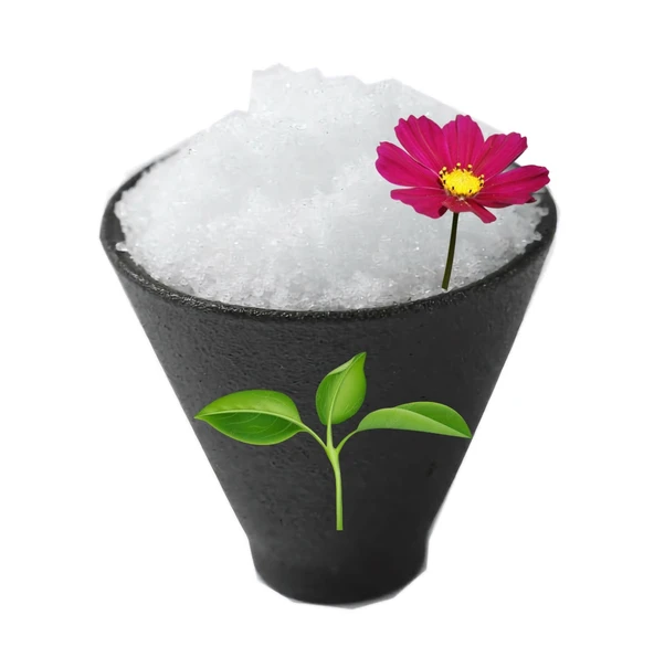 NPK 18+18+18+Te Yaprak Gübresi Hobi Bahçe Çiçek Gübresi 2 Kg - 2