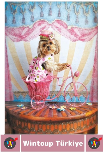 Eğlenceli El Göz Koordinasyon Beceri Görsel Algı Geliştirici Çocuk 500'lü PUZZLE HAYALPEREST GEZGİN - Resim 3