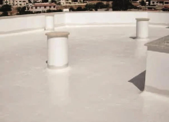 DryFix Polymer100 Polimer Esaslı Su Yalıtım Malzemesi 18 Kg Beyaz - 4