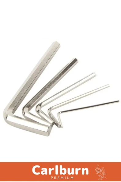 Özel Üretim Tamir Usta Çırak Bozuk Vida 10 Parça Çelik Alyan Seti Kısa Düz Köşe Alyan Anahtar Takımı - 5