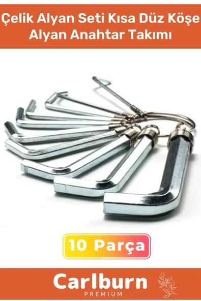 Özel Üretim Tamir Usta Çırak Bozuk Vida 10 Parça Çelik Alyan Seti Kısa Düz Köşe Alyan Anahtar Takımı
