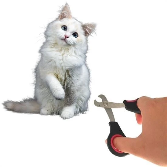 BufferBüyük Irk Köpek Kedi Çelik Uçlu Evcil Hayvan Tırnak Makası Pati Bakım Aleti Ergonomik Kaymaz - 3