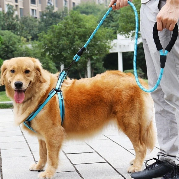 BUFFER® Reflektörlü Fosforlu Köpek Gezdirme Halatı Tasma Kayışı Metal Kancalı 130 cm - 2