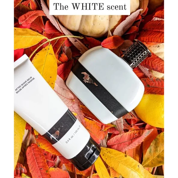 Ford Mustang for men eau de toılett  vaporısateur sprey 100 ml. e + Haır & Body Wash 150 ml. e - Resim 2