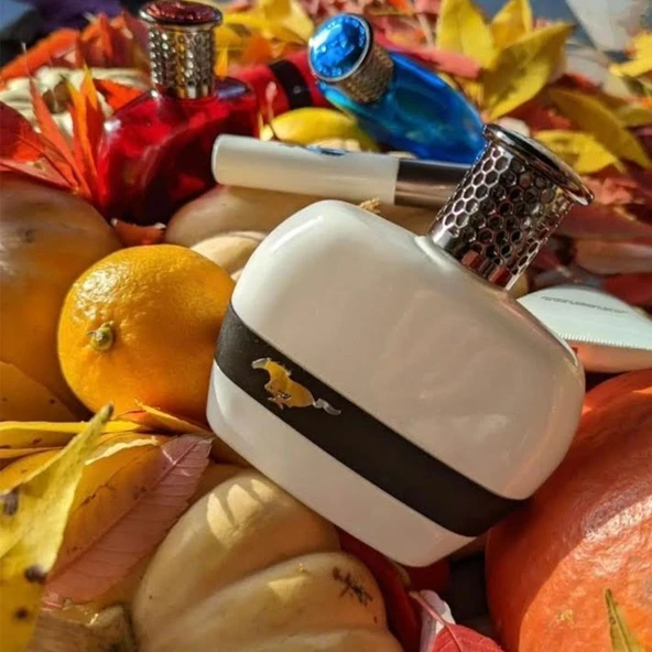 Ford Mustang for men eau de toılett  vaporısateur sprey 100 ml. e + Haır & Body Wash 150 ml. e - Resim 3