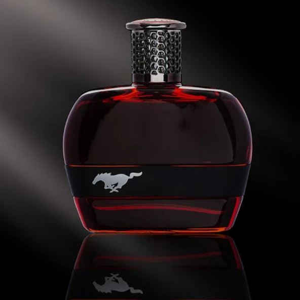 Ford Mustang for men eau de toılett  vaporısateur sprey 100 ml. e + Haır & Body Wash 150 ml. e - Resim 3
