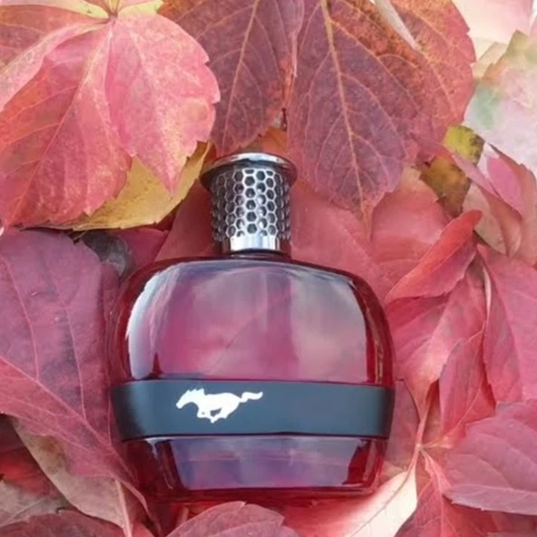 Ford Mustang for men eau de toılett  vaporısateur sprey 100 ml. e + Haır & Body Wash 150 ml. e - Resim 2