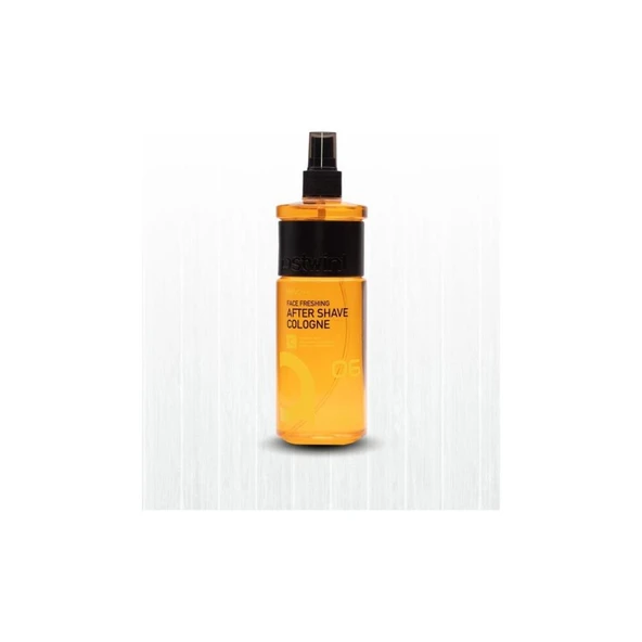 Ostwint After Shave Kolonya No:06 400ml - 6