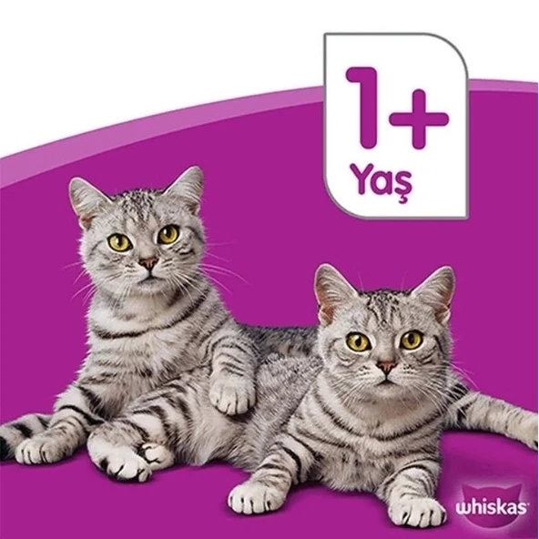 Whiskas Ton Balıklı ve Sebzeli Yetişkin Kedi Maması 300 Gr - 3